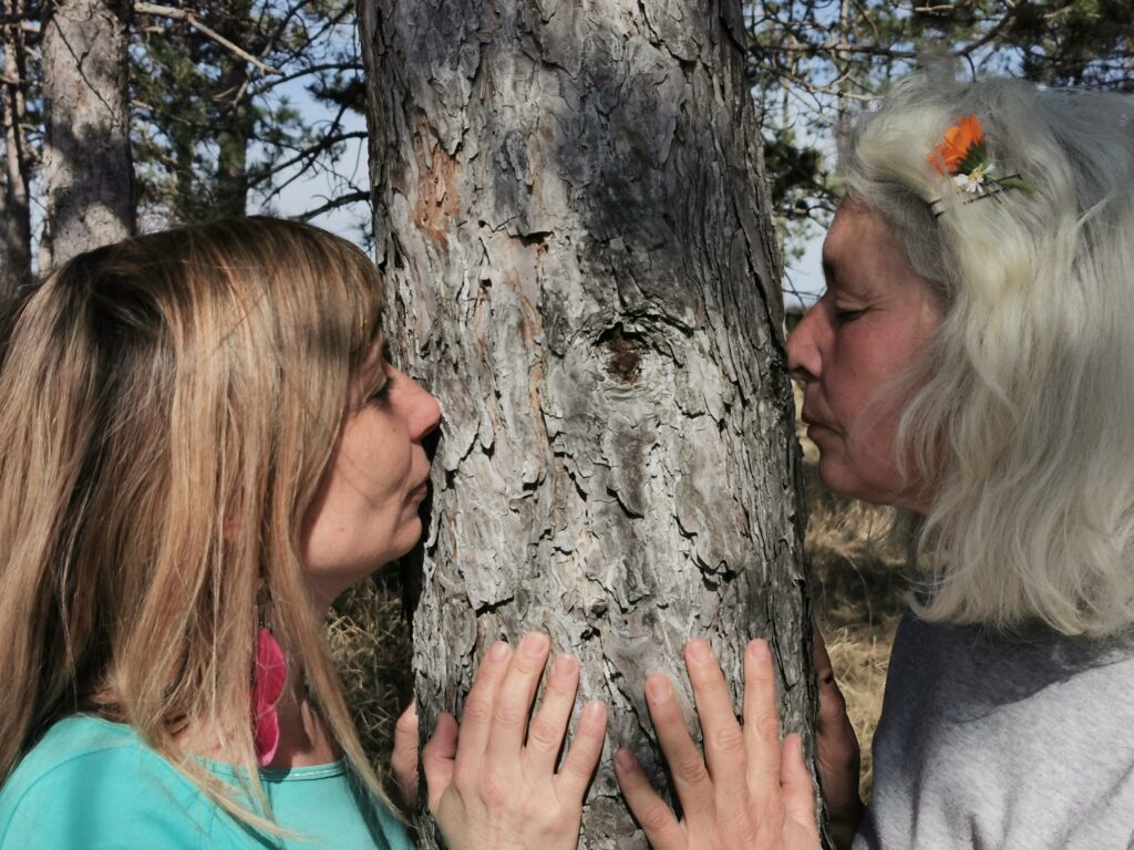 Pogovori z drevesi: delavnica čuječnosti